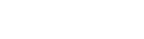 Next Step Wealth Strategies Next Step Wealth Strategies white logo